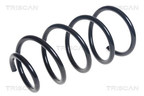 Suspension Spring (8750 11190)