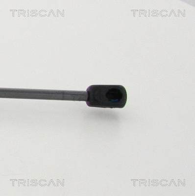 Gas Spring, boot/cargo area