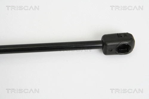Gas Spring, boot/cargo area