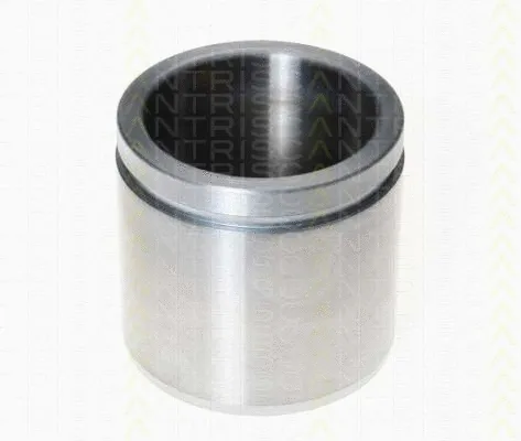 Piston, brake caliper (8170 236044)