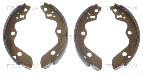 Brake Shoe Set (8100 69010)