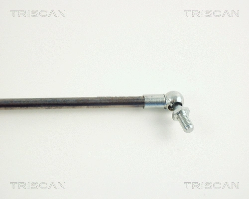Gas Spring, boot/cargo area