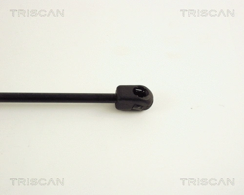 Gas Spring, boot/cargo area