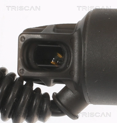 Gas Spring, boot/cargo area