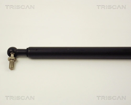 Gas Spring, boot/cargo area