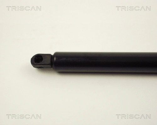 Gas Spring, boot/cargo area