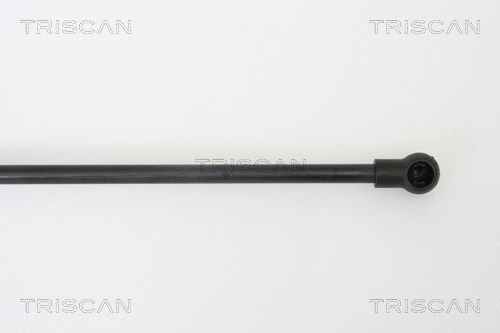 Gas Spring, boot/cargo area