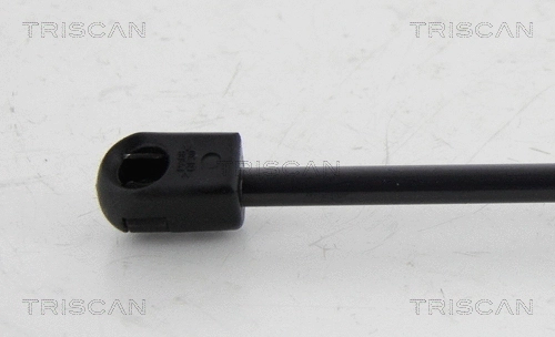 Gas Spring, boot/cargo area