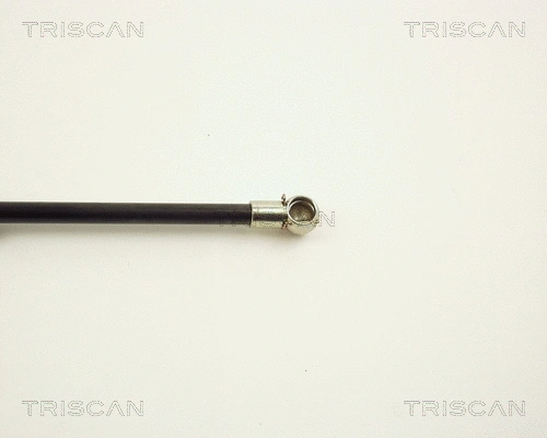 Gas Spring, boot/cargo area