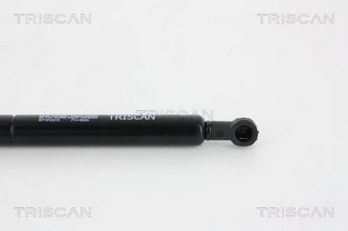 Gas Spring, boot/cargo area