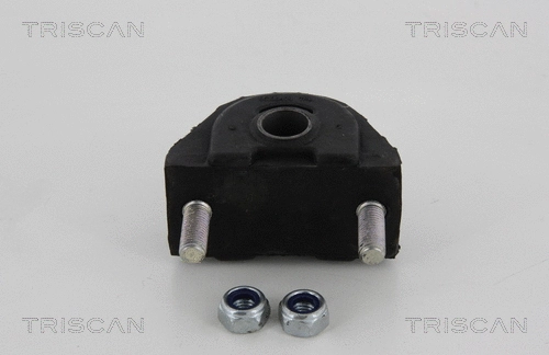 Mounting, control/trailing arm