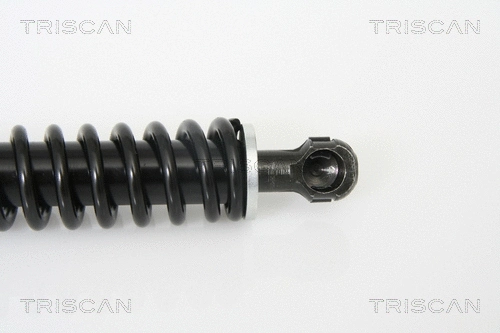 Gas Spring, boot/cargo area