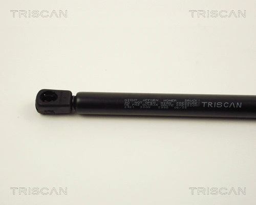 Gas Spring, boot/cargo area