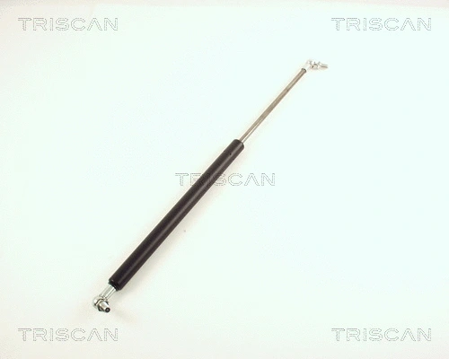 Gas Spring, boot/cargo area (8710 40201)