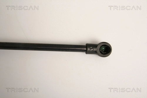 Gas Spring, boot/cargo area