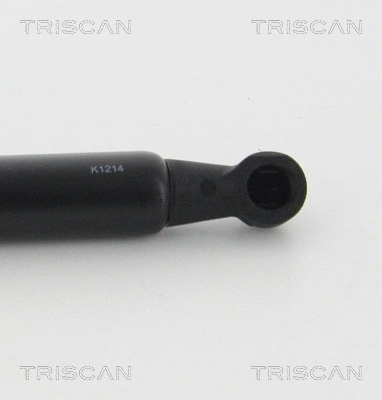 Gas Spring, boot/cargo area