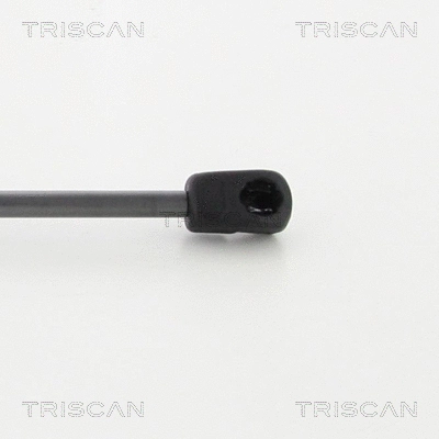 Gas Spring, boot/cargo area