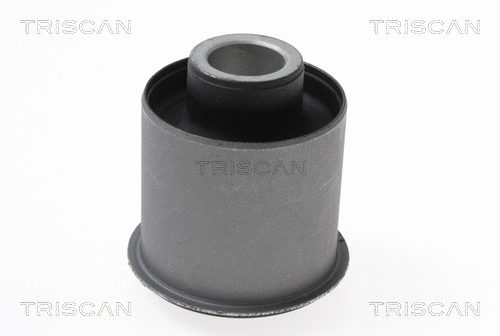 Bushing, axle beam (8500 21811)