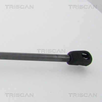 Gas Spring, boot/cargo area