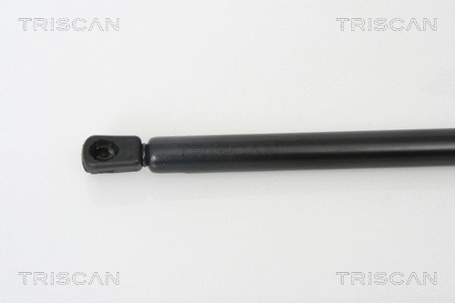 Gas Spring, boot/cargo area