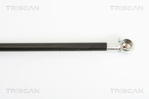 Gas Spring, boot/cargo area