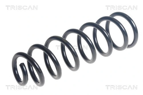 Suspension Spring (8750 25155)