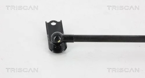 Gas Spring, boot/cargo area