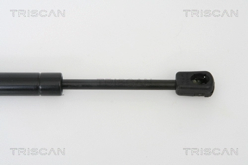 Gas Spring, boot/cargo area