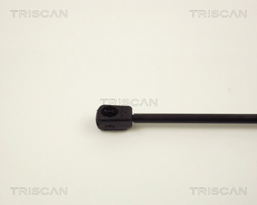 Gas Spring, boot/cargo area
