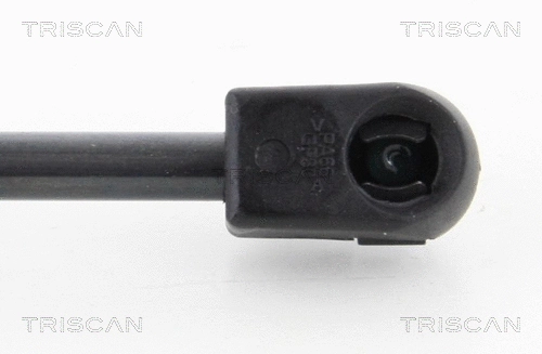 Gas Spring, boot/cargo area