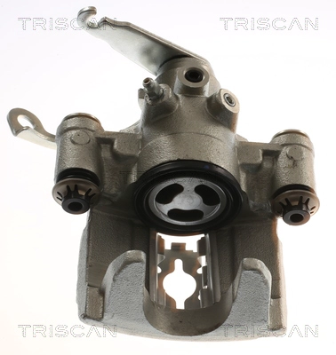 Brake Caliper (8175 16219)