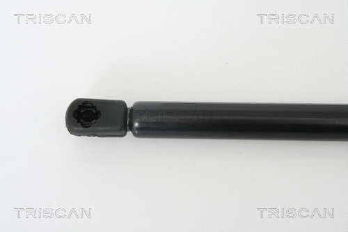Gas Spring, boot/cargo area