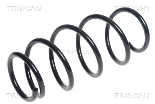 Suspension Spring (8750 13216)