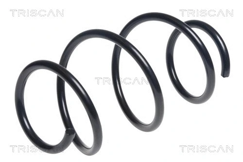 Suspension Spring (8750 11195)