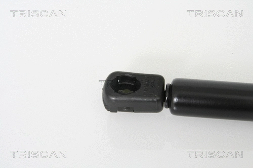Gas Spring, boot/cargo area