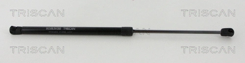 Gas Spring, boot/cargo area (8710 112012)