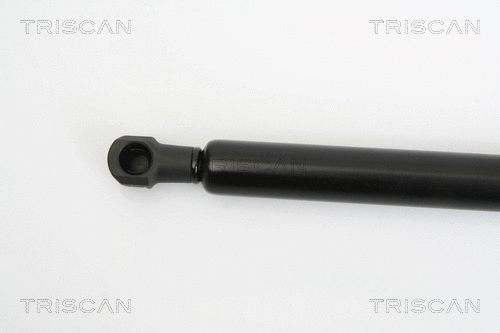 Gas Spring, boot/cargo area