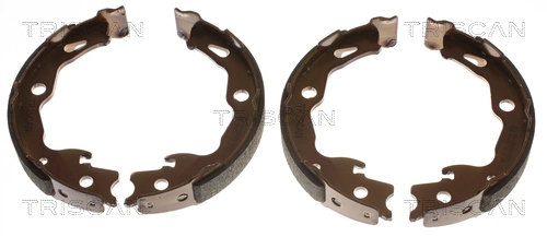 Brake Shoe Set, parking brake (8100 25009)