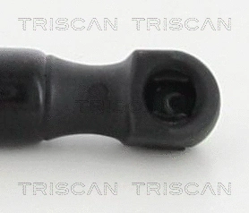 Gas Spring, boot/cargo area
