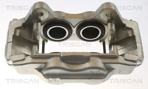 Brake Caliper (8175 13106)