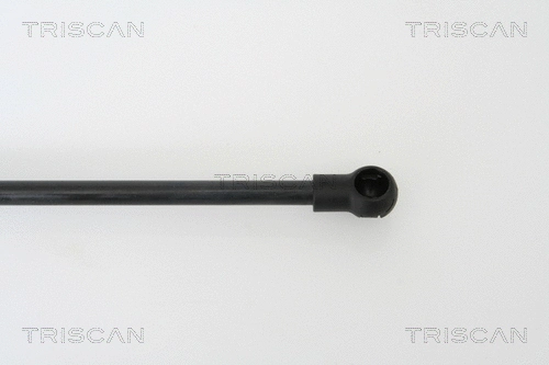Gas Spring, boot/cargo area