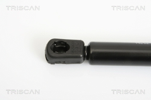 Gas Spring, boot/cargo area