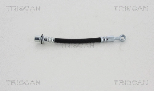 Brake Hose (8150 13431)