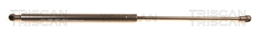 Gas Spring, boot/cargo area (8710 38214)