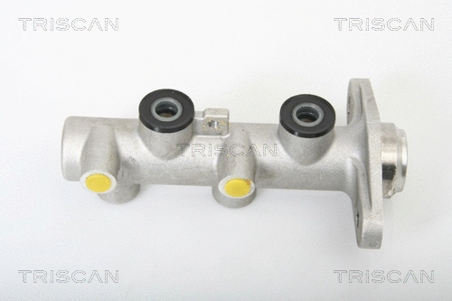 Brake Master Cylinder (8130 43102)