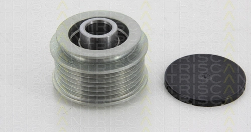 Alternator Freewheel Clutch (8641 294021)