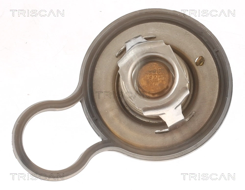 Thermostat, coolant (8620 55484)