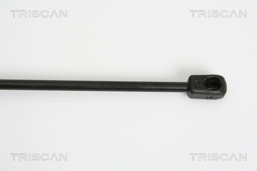 Gas Spring, boot/cargo area