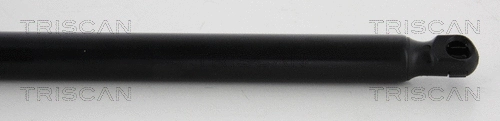 Gas Spring, boot/cargo area