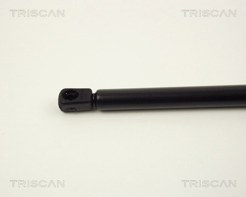 Gas Spring, boot/cargo area
